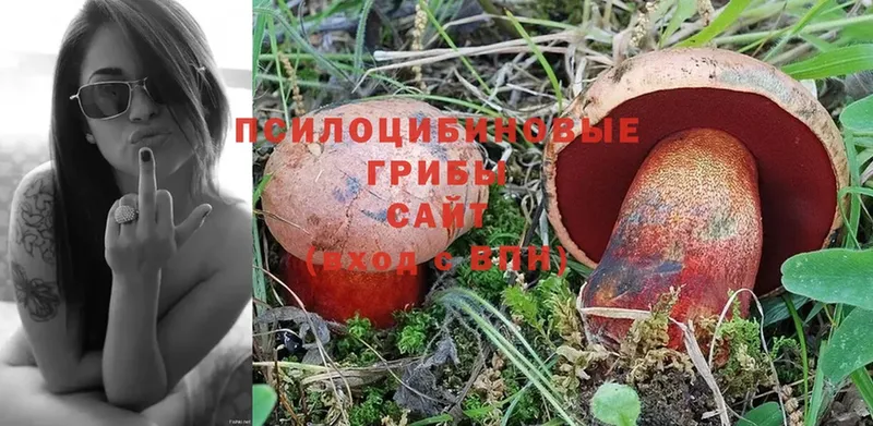 Псилоцибиновые грибы Psilocybine cubensis  MEGA зеркало  Азнакаево 